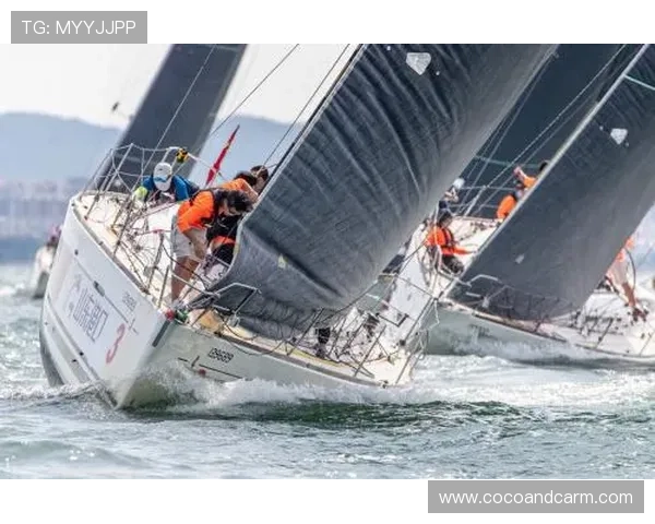 半岛体育官网登录入口网页版登录安全措施与风险防范建议